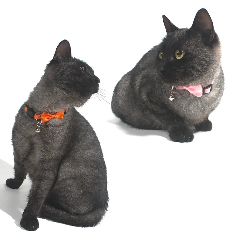 Multicolor Adjustable Pet Bow Bell Collars - Cute Cat Accessories and Supplies