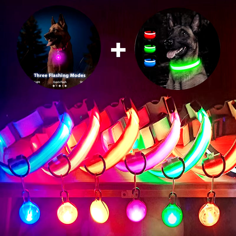 USB Rechargeable Illuminated Dog Collar with Detachable Pendant - Luxury LED Light for Small Dogs and Cats - Night Safety Collar Wholesale