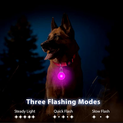 USB Rechargeable Illuminated Dog Collar with Detachable Pendant - Luxury LED Light for Small Dogs and Cats - Night Safety Collar Wholesale