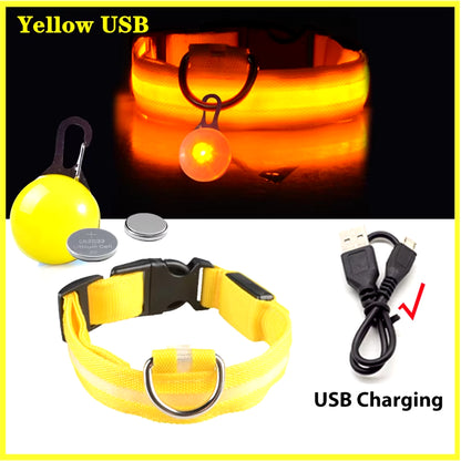 USB Rechargeable Illuminated Dog Collar with Detachable Pendant - Luxury LED Light for Small Dogs and Cats - Night Safety Collar Wholesale