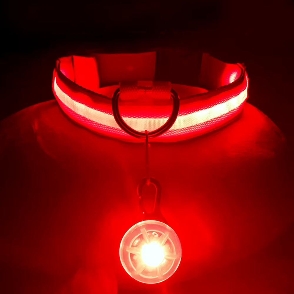 USB Rechargeable Illuminated Dog Collar with Detachable Pendant - Luxury LED Light for Small Dogs and Cats - Night Safety Collar Wholesale