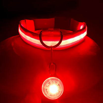 USB Rechargeable Illuminated Dog Collar with Detachable Pendant - Luxury LED Light for Small Dogs and Cats - Night Safety Collar Wholesale