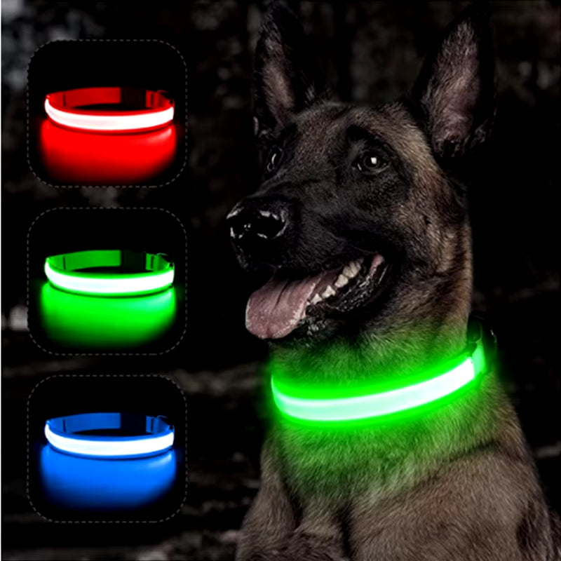 USB Rechargeable Illuminated Dog Collar with Detachable Pendant - Luxury LED Light for Small Dogs and Cats - Night Safety Collar Wholesale