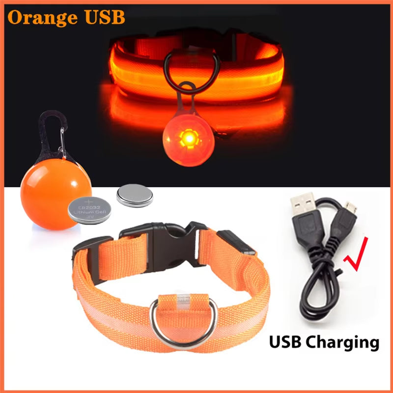 USB Rechargeable Illuminated Dog Collar with Detachable Pendant - Luxury LED Light for Small Dogs and Cats - Night Safety Collar Wholesale