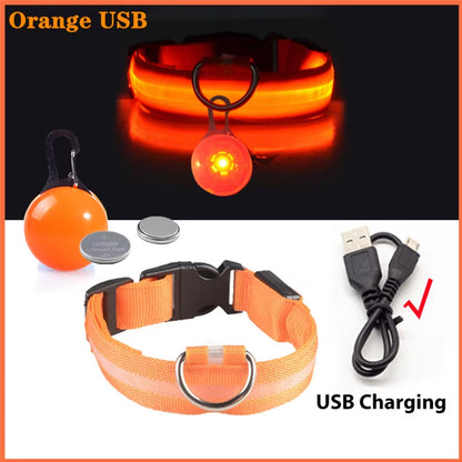 USB Rechargeable Illuminated Dog Collar with Detachable Pendant - Luxury LED Light for Small Dogs and Cats - Night Safety Collar Wholesale